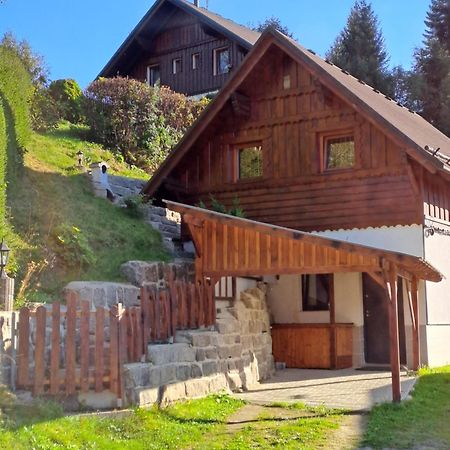 Apartmán Albrecht Albrechtice v Jizerskych horách Exterior foto