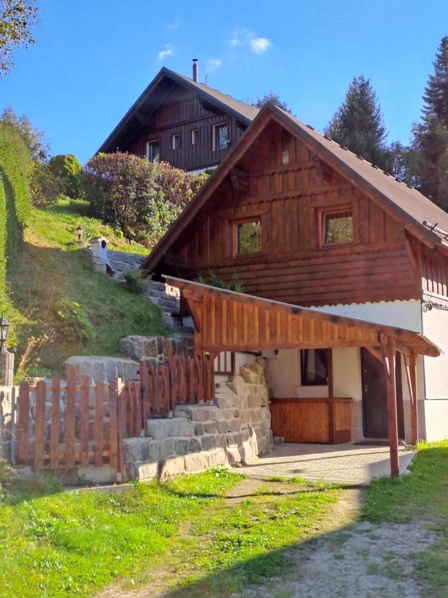 Apartmán Albrecht Albrechtice v Jizerskych horách Exterior foto